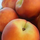Illustration for article titled Millions of Peaches; Peaches for Me